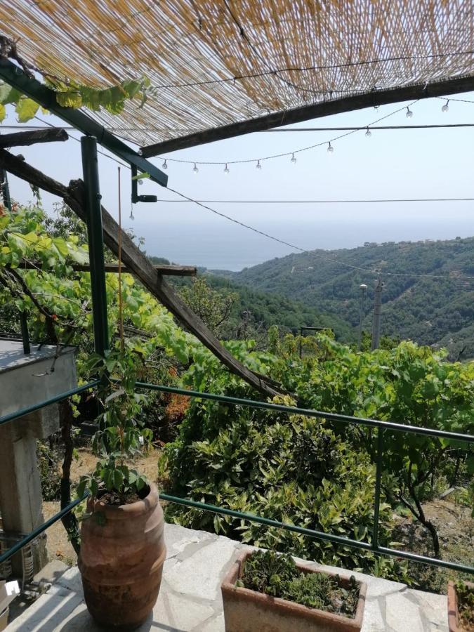 Ca Du Stea Villa Lavagna Eksteriør billede