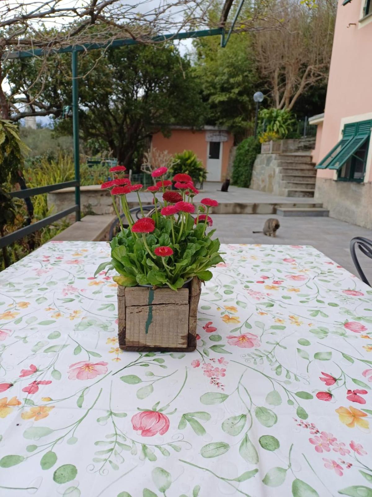 Ca Du Stea Villa Lavagna Eksteriør billede